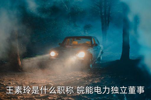 王素玲是什么職稱(chēng) 皖能電力獨(dú)立董事