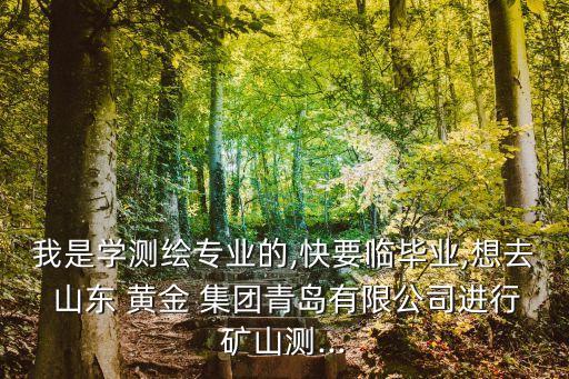 我是學(xué)測(cè)繪專業(yè)的,快要臨畢業(yè),想去 山東 黃金 集團(tuán)青島有限公司進(jìn)行礦山測(cè)...
