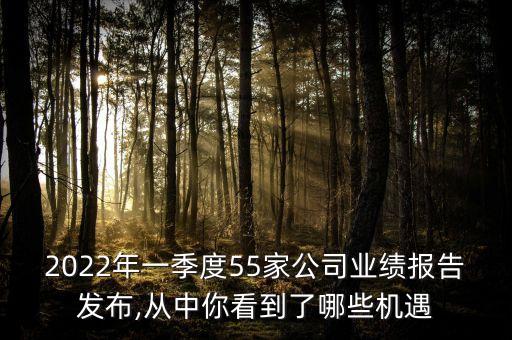 2022年一季度55家公司業(yè)績(jī)報(bào)告發(fā)布,從中你看到了哪些機(jī)遇