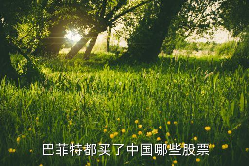  巴菲特都買(mǎi)了中國(guó)哪些股票