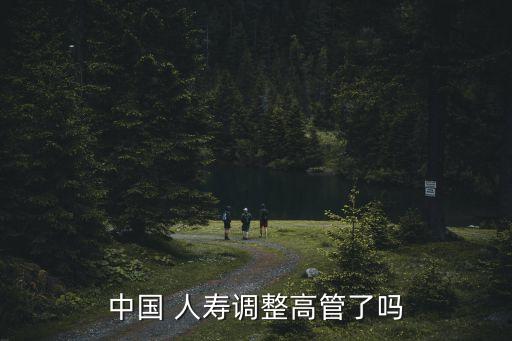 中國人壽副總經理