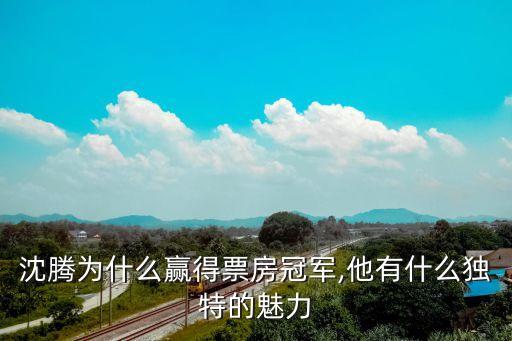 夏洛特煩惱投資多少