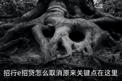 招行e招貸怎么取消原來關鍵點在這里