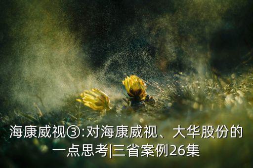 海康威視③:對(duì)?？低暋⒋笕A股份的一點(diǎn)思考|三省案例26集