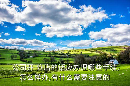  公司開 分店的話應辦理哪些手續(xù),怎么樣辦,有什么需要注意的