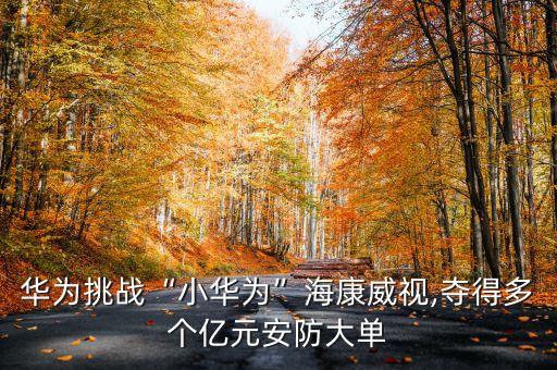華為挑戰(zhàn)“小華為”?？低?奪得多個(gè)億元安防大單