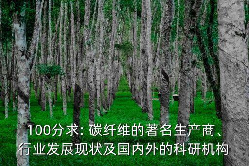 100分求: 碳纖維的著名生產(chǎn)商、行業(yè)發(fā)展現(xiàn)狀及國內(nèi)外的科研機(jī)構(gòu)