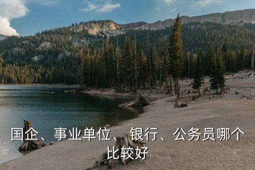 國(guó)企、事業(yè)單位、 銀行、公務(wù)員哪個(gè)比較好