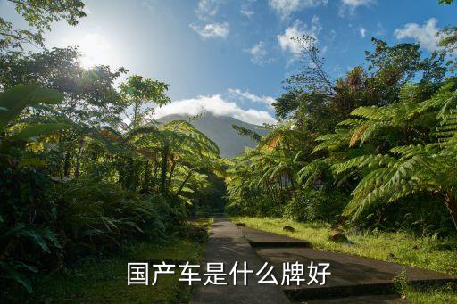 國產車是什么牌好