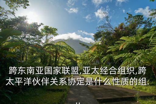 跨東南亞國家聯(lián)盟,亞太經(jīng)合組織,跨太平洋伙伴關系協(xié)定是什么性質的組...