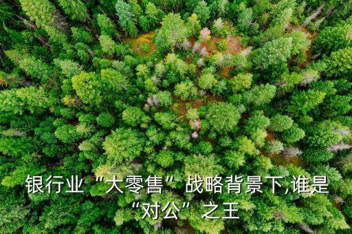  銀行業(yè)“大零售”戰(zhàn)略背景下,誰(shuí)是“對(duì)公”之王