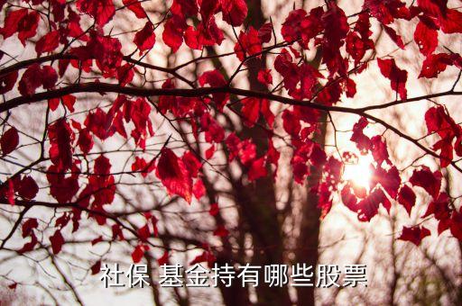 社?；鹚囊蝗M合,全國(guó)社?；鹚囊蝗M合最新持股明細(xì)