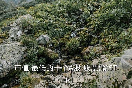 市值 最低的十個A股 股票(除ST、PT