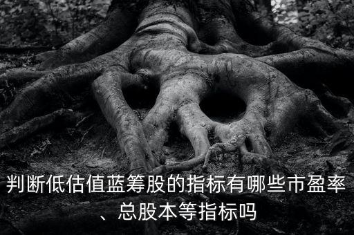 判斷低估值藍(lán)籌股的指標(biāo)有哪些市盈率、總股本等指標(biāo)嗎