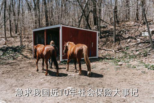 急求我國近10年社會保險(xiǎn)大事記