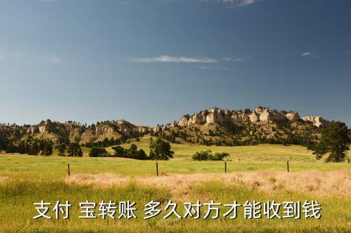  支付 寶轉(zhuǎn)賬 多久對(duì)方才能收到錢(qián)