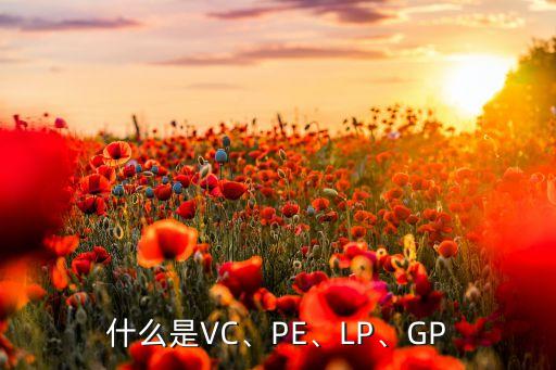 什么是VC、PE、LP、GP