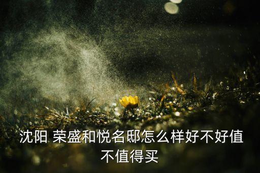 沈陽(yáng)榮盛錦繡天地房地產(chǎn)開發(fā)有限公司