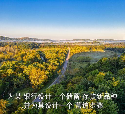 為某 銀行設(shè)計(jì)一個(gè)儲(chǔ)蓄 存款新品種,并為其設(shè)計(jì)一個(gè) 營銷步驟