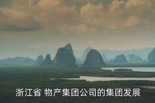 浙江物產物業(yè)管理有限公司,浙江浙大求是物業(yè)管理有限公司