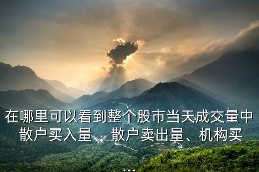 在哪里可以看到整個股市當(dāng)天成交量中 散戶買入量、 散戶賣出量、機構(gòu)買...