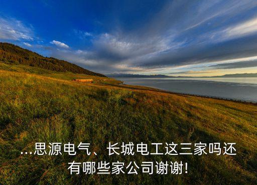 ...思源電氣、長(zhǎng)城電工這三家嗎還有哪些家公司謝謝!