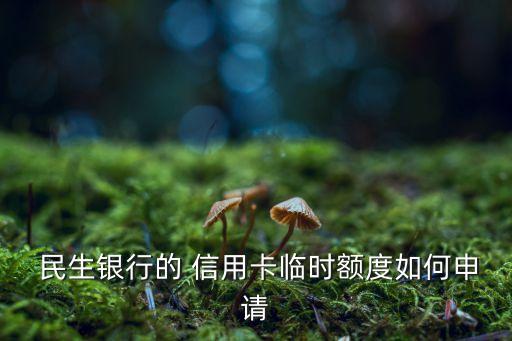  民生銀行的 信用卡臨時(shí)額度如何申請
