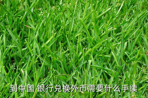 到中國(guó) 銀行兌換外幣需要什么手續(xù)