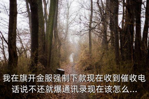 我在旗開(kāi)金服強(qiáng)制下款現(xiàn)在收到催收電話說(shuō)不還就爆通訊錄現(xiàn)在該怎么...