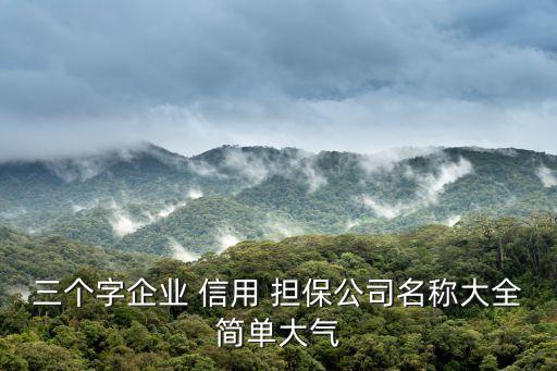 三個字企業(yè) 信用 擔(dān)保公司名稱大全簡單大氣