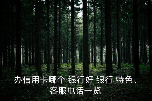 辦信用卡哪個(gè) 銀行好 銀行 特色、客服電話一覽