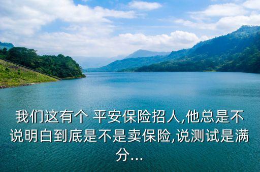 中國平安職業(yè)經理人