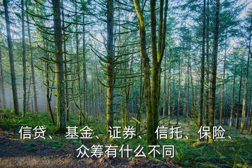 信貸、 基金、證券、 信托、保險(xiǎn)、眾籌有什么不同