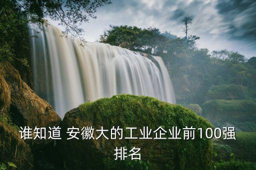誰(shuí)知道 安徽大的工業(yè)企業(yè)前100強(qiáng)排名