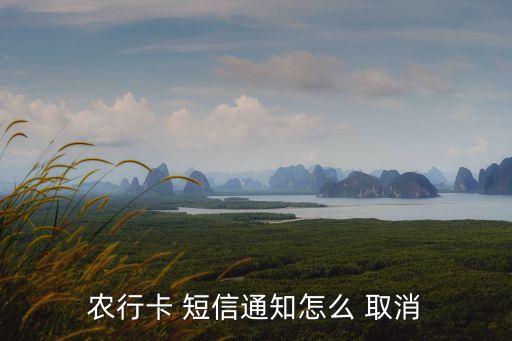 農(nóng)業(yè)銀行短信服務取消
