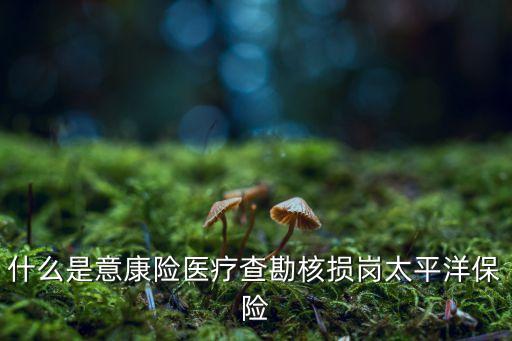 中國太?；A(chǔ)設(shè)施債權(quán),基礎(chǔ)設(shè)施債權(quán)計(jì)劃