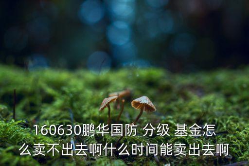 160630鵬華國(guó)防 分級(jí) 基金怎么賣不出去啊什么時(shí)間能賣出去啊