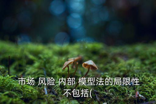 商業(yè)銀行市場風(fēng)險內(nèi)部模型,市場風(fēng)險內(nèi)部模型法的局限性不包括