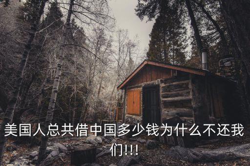 美國(guó)人總共借中國(guó)多少錢為什么不還我們!!!