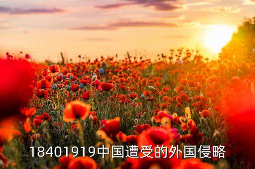 18401919中國(guó)遭受的外國(guó)侵略
