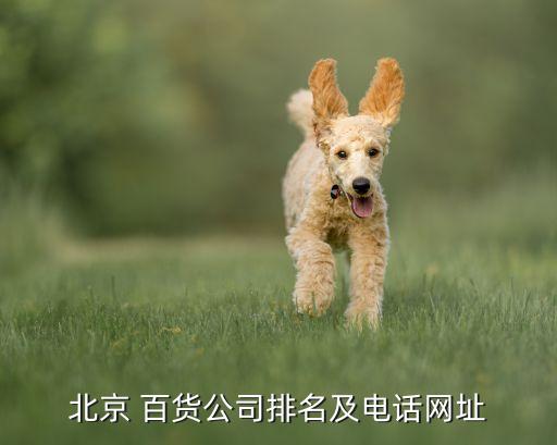 王府井百貨集團(tuán)倉儲信息,北京王府井百貨集團(tuán)股份有限公司