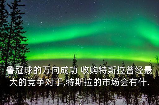 魯冠球的萬向成功 收購特斯拉曾經(jīng)最大的競爭對(duì)手,特斯拉的市場會(huì)有什...