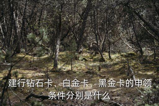  建行鉆石卡、白金卡、黑金卡的申領(lǐng)條件分別是什么
