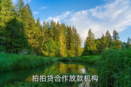 拍拍貸合作放款機構