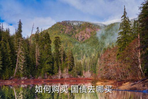 如何購(gòu)買 國(guó)債去哪買