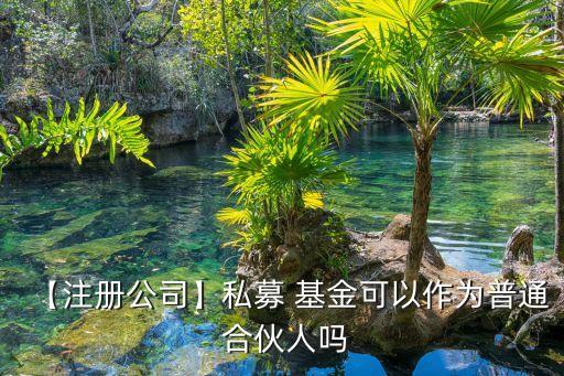 合伙企業(yè)做基金管理人,公司或合伙企業(yè)可以擔任基金管理人