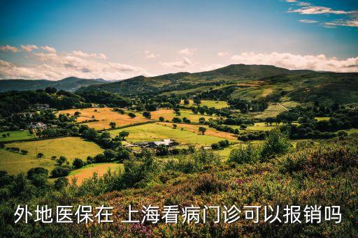 外地醫(yī)保在 上?？床￠T診可以報銷嗎