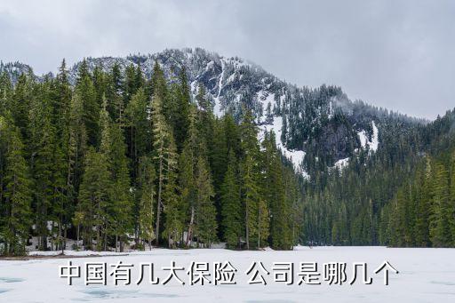 中國有幾大保險(xiǎn) 公司是哪幾個