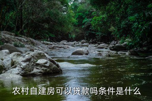 農村自建房可以貸款嗎條件是什么