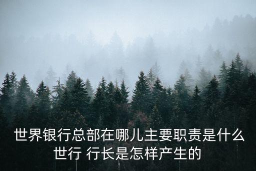  世界銀行總部在哪兒主要職責是什么世行 行長是怎樣產生的